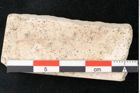 Foto (Detailansicht) von Sideroxylon hepios Unger (NHMW-GEO-2024-0188-8162)